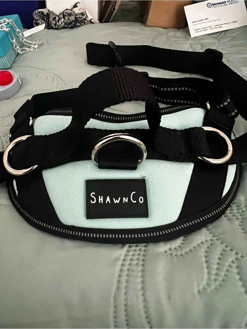 Mint Dog Harness with Black Trim - Padded Secure Fit